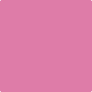 1347 Pink Ladies