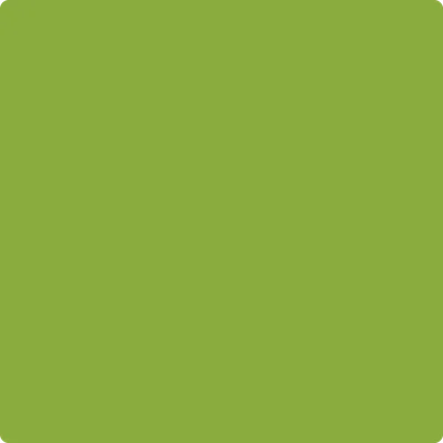 2028-20 Douglas Fir
