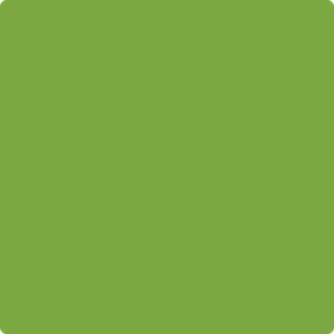 2029-30 Rosemary Green