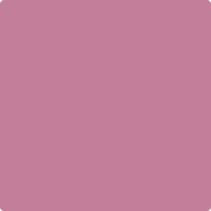 2083-40 Begonia
