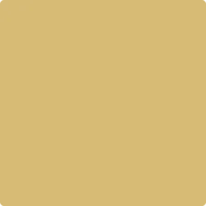 209 Buena Vista Gold