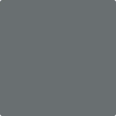 2124-20 Trout Gray