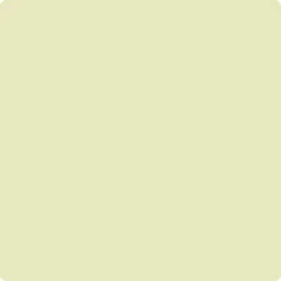 2146-50 Rainforest Dew