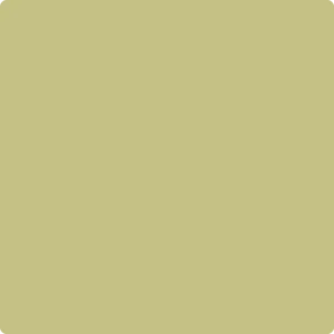 2147-40 Dill Pickle