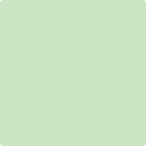 548 Pastel Green
