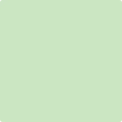 548 Pastel Green