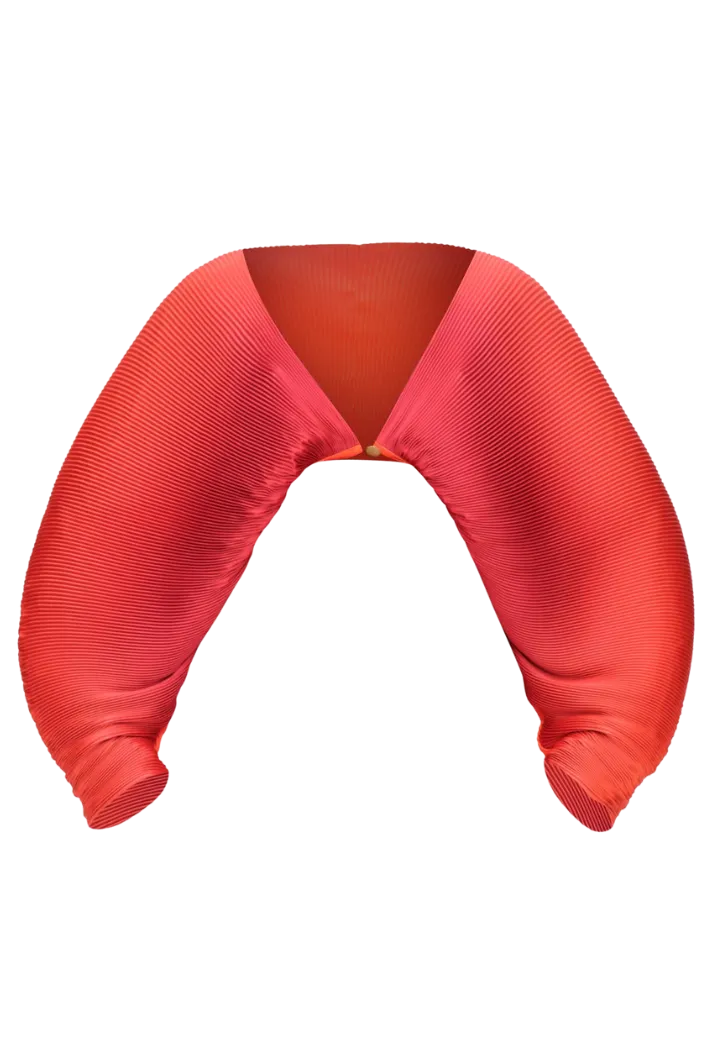 Balu Crop Top