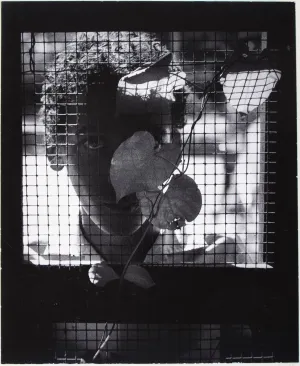 Boy Begging Behind Wire Door, St. Lucia