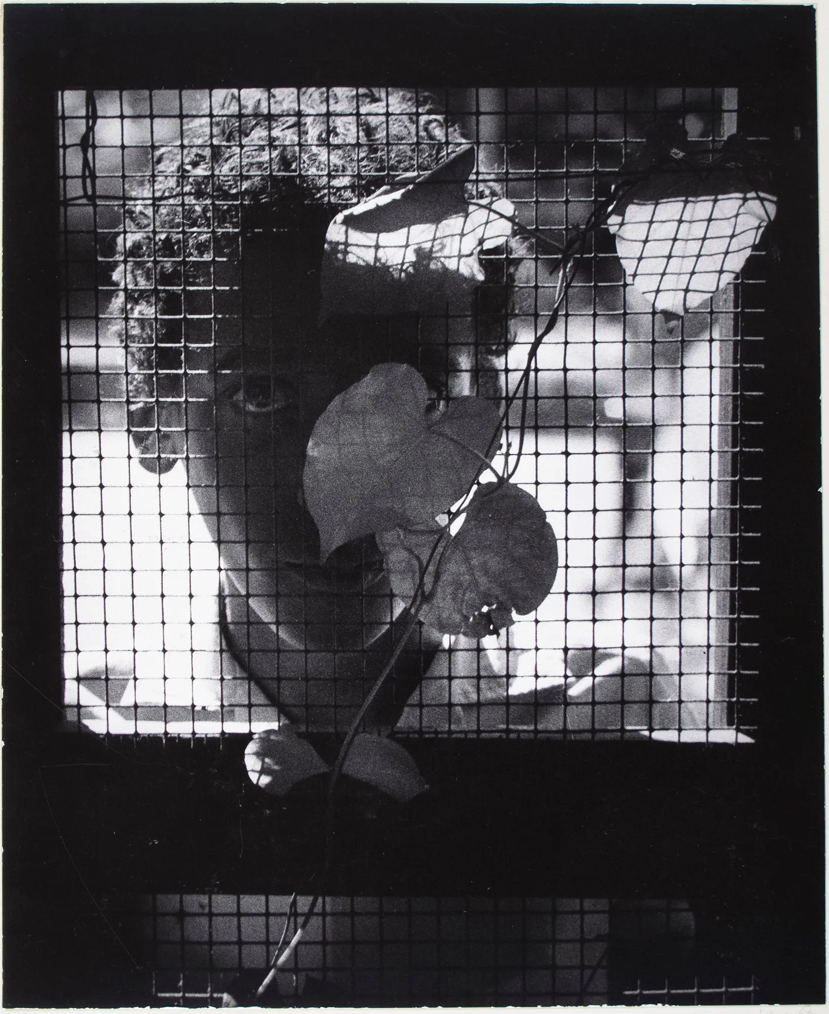 Boy Begging Behind Wire Door, St. Lucia