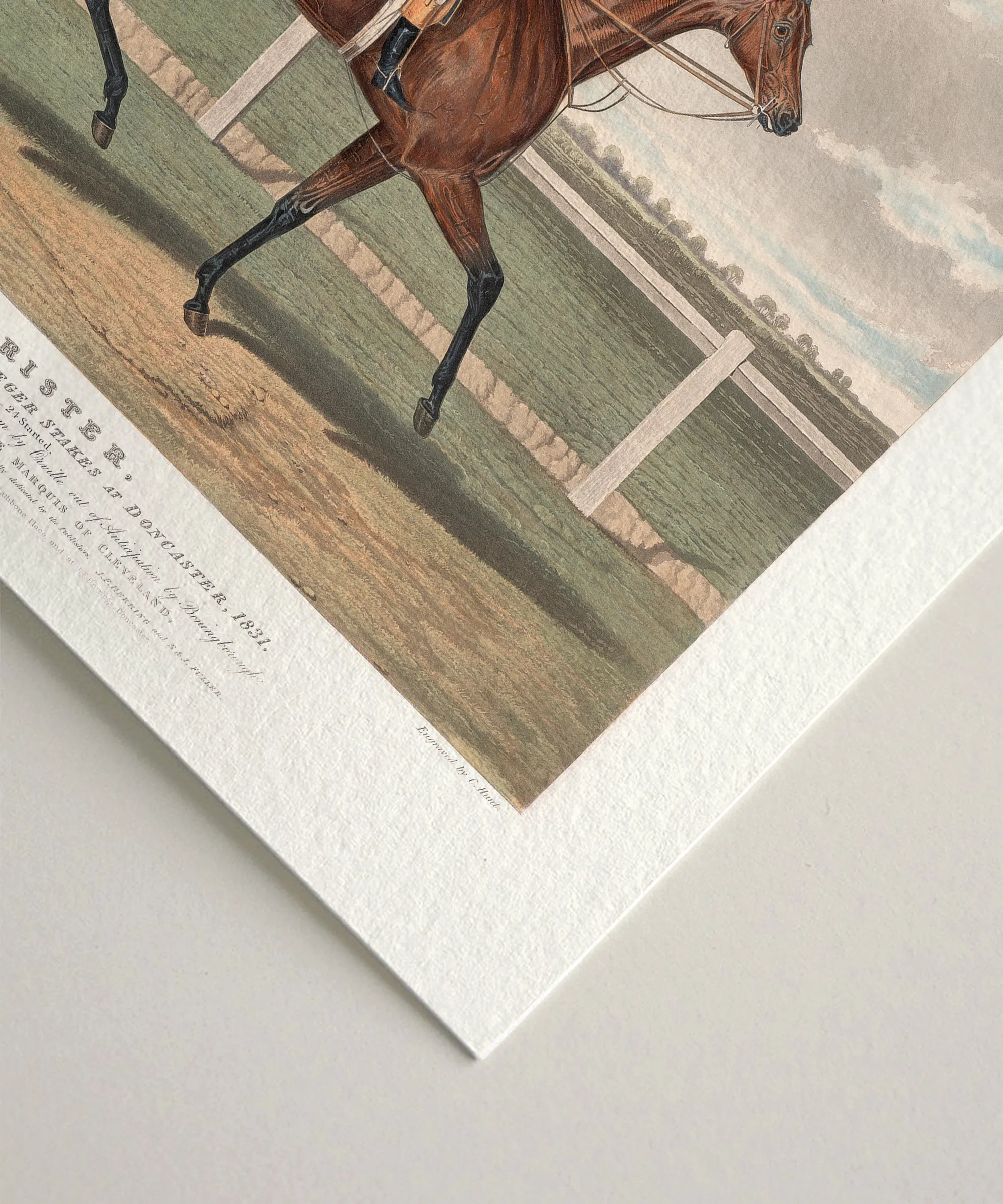 Chorister | Racehorse No. 6