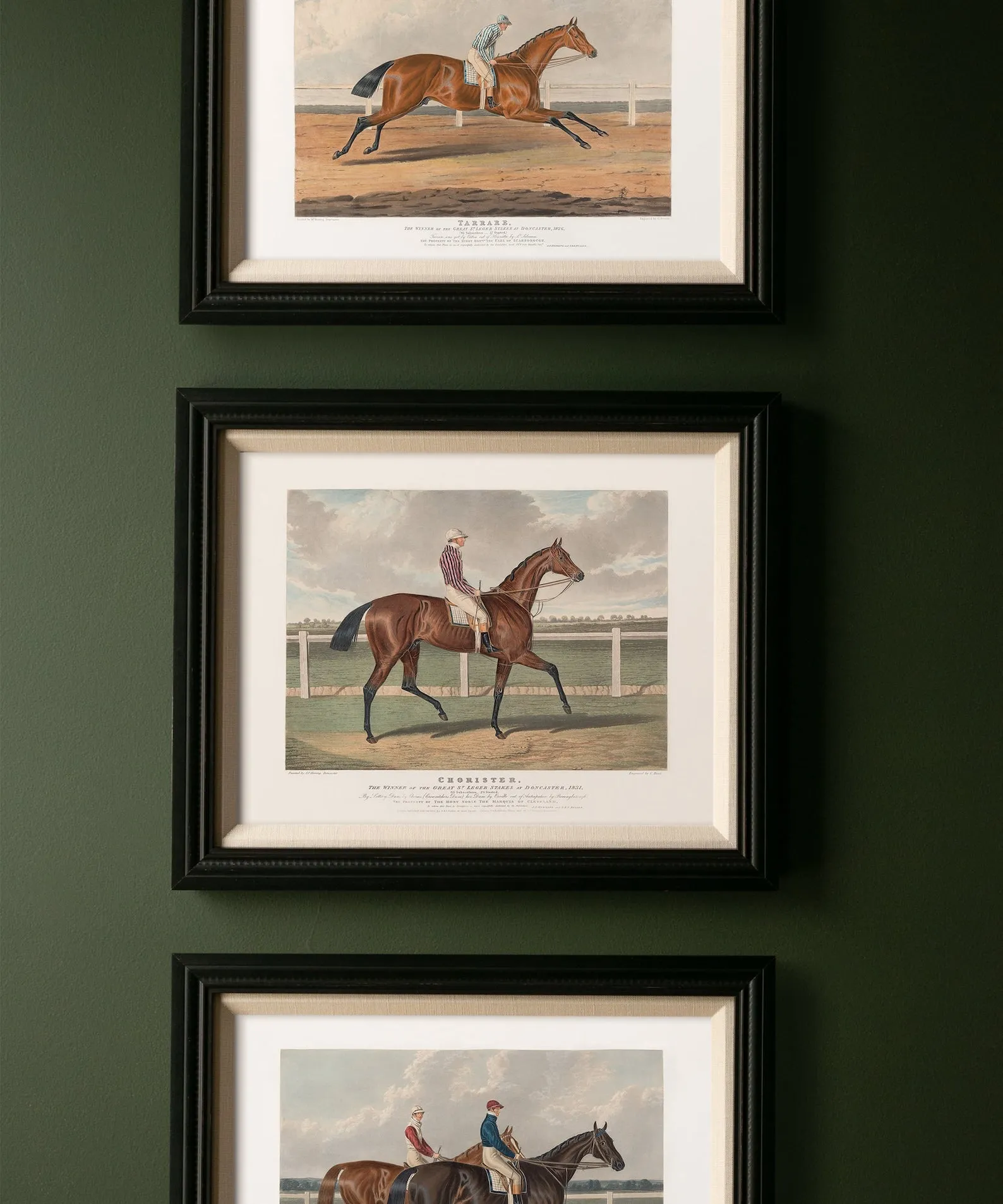 Chorister | Racehorse No. 6