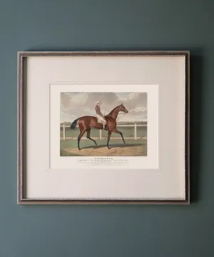 Chorister | Racehorse No. 6