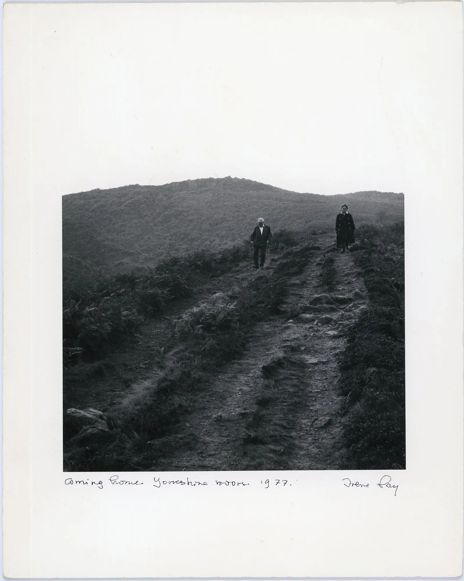 Coming Home Yorkshire Moors