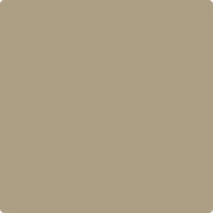 CSP-1040 Shiitake Mushroom