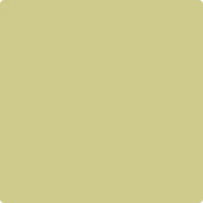 CSP-850 Green Hydrangea