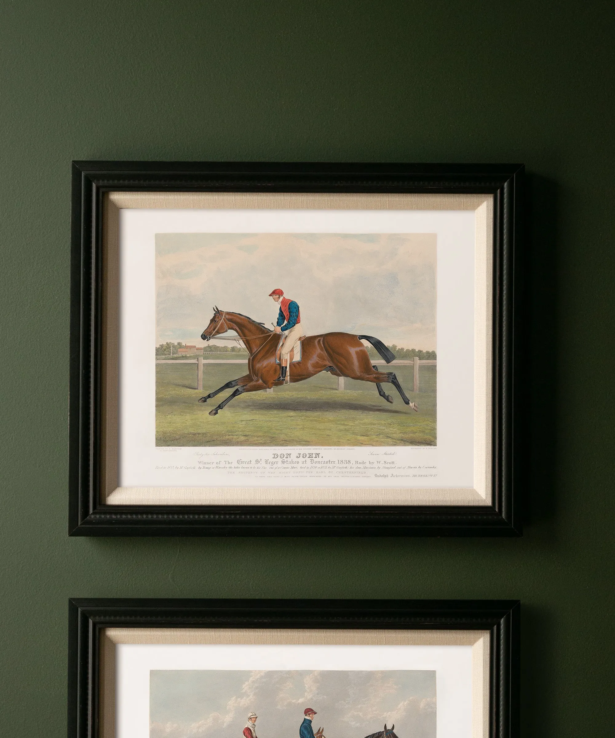 Don John | Racehorse No. 5