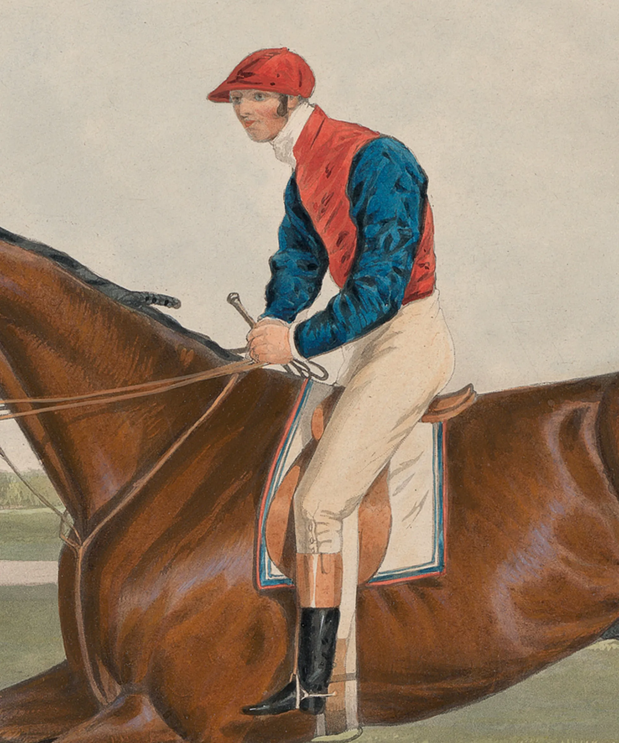 Don John | Racehorse No. 5