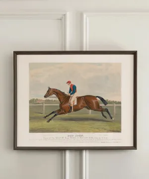 Don John | Racehorse No. 5