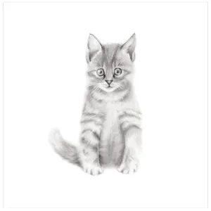 Kitten Pencil Drawing Print