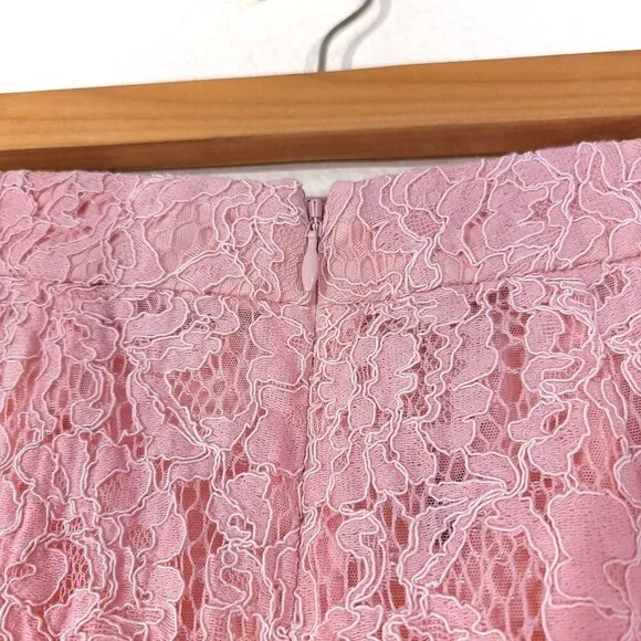 NEW House of CB Rexie Romantic Vintage Pink Sheer Lace Pencil Midi Skirt XS